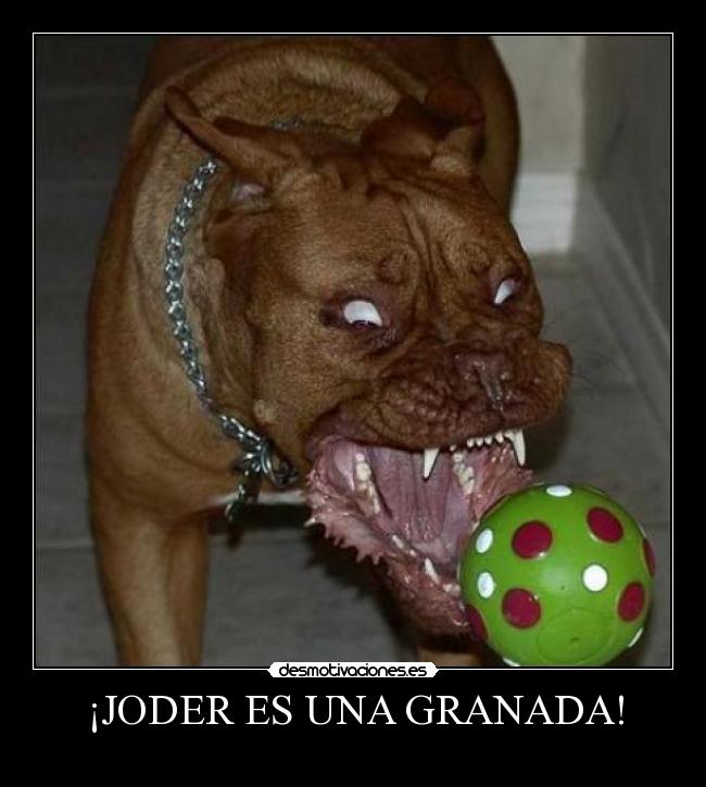 ¡JODER ES UNA GRANADA! -