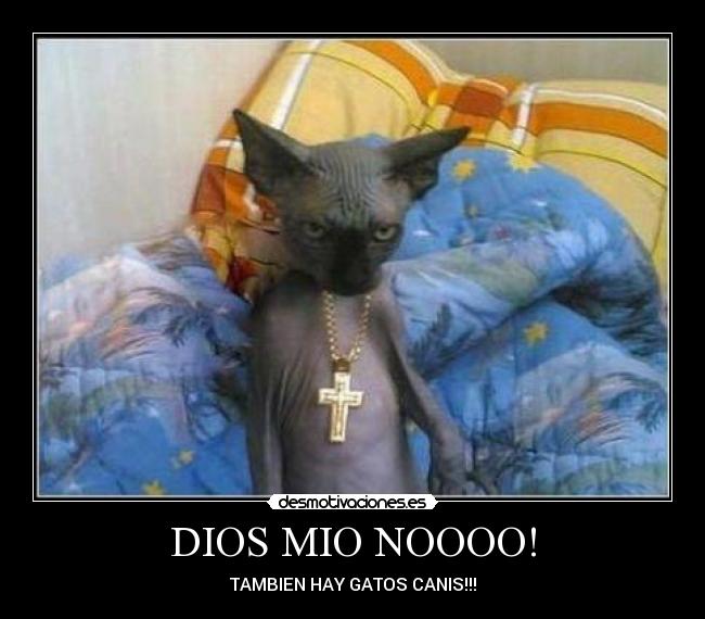 DIOS MIO NOOOO! -