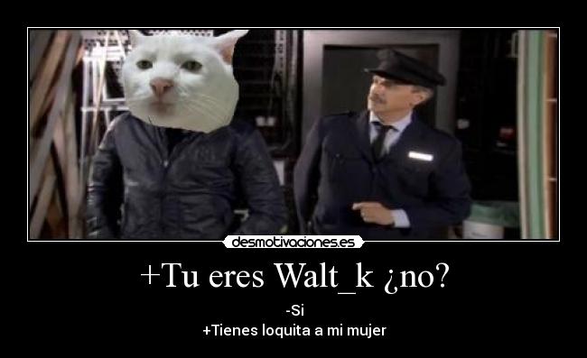 +Tu eres Walt_k ¿no? -