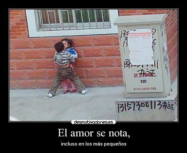 El amor se nota, - 