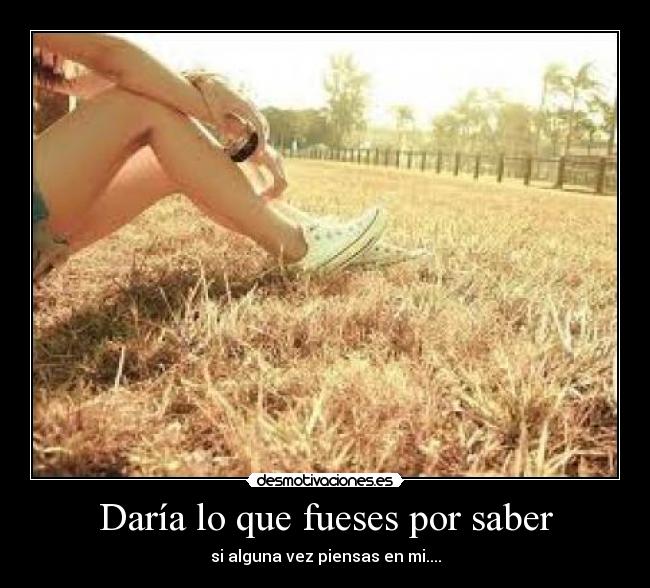 Daría lo que fueses por saber - 