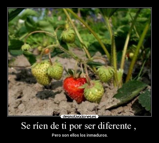 Se ríen de ti por ser diferente , -