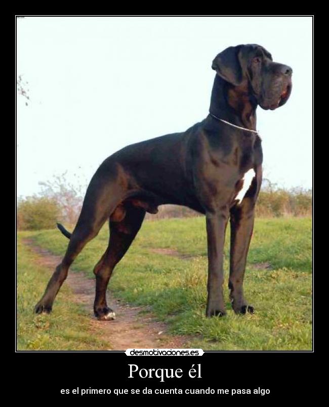 Porque él -