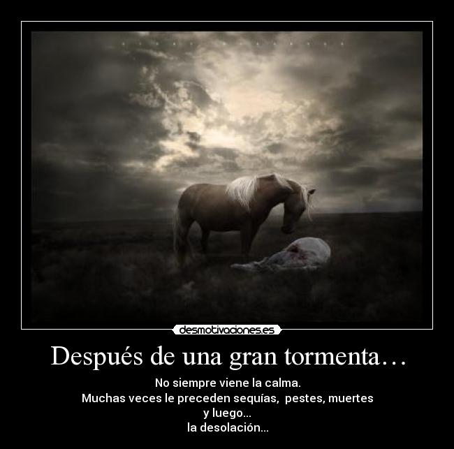 Después de una gran tormenta… - 