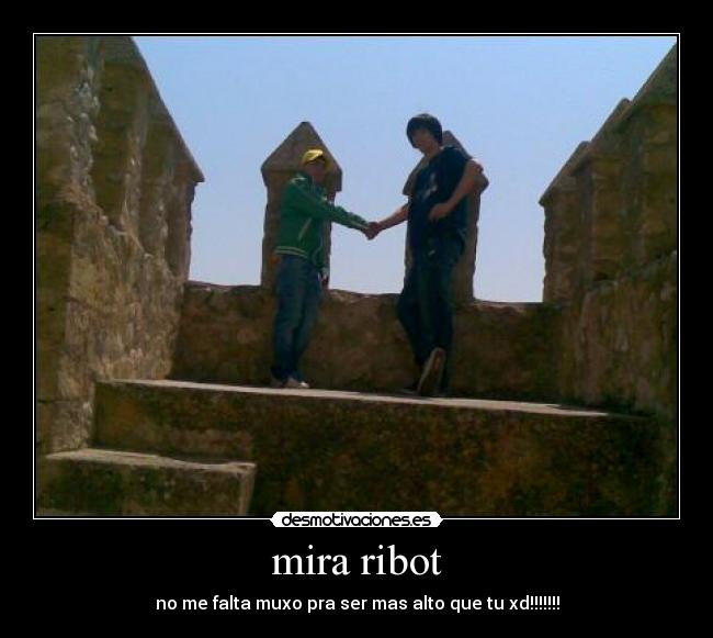 mira ribot -