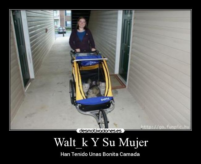 Walt_k Y Su Mujer - 