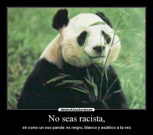 No seas racista, - sé como un oso panda: es negro, blanco y asiático a la vez.