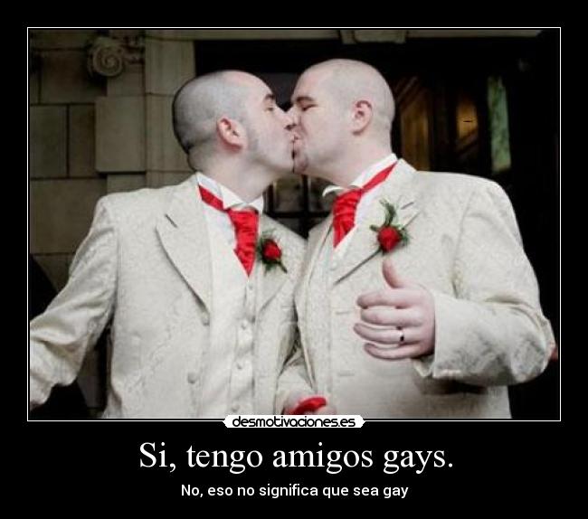 Si, tengo amigos gays. - No, eso no significa que sea gay