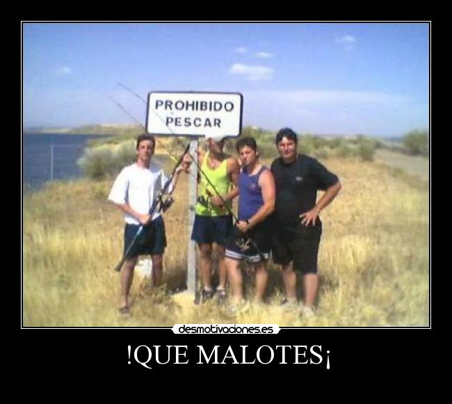 !QUE MALOTES¡ - 