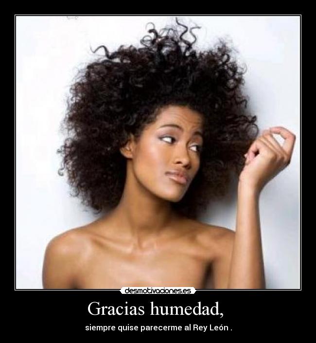 carteles pelo humedad desmotivaciones