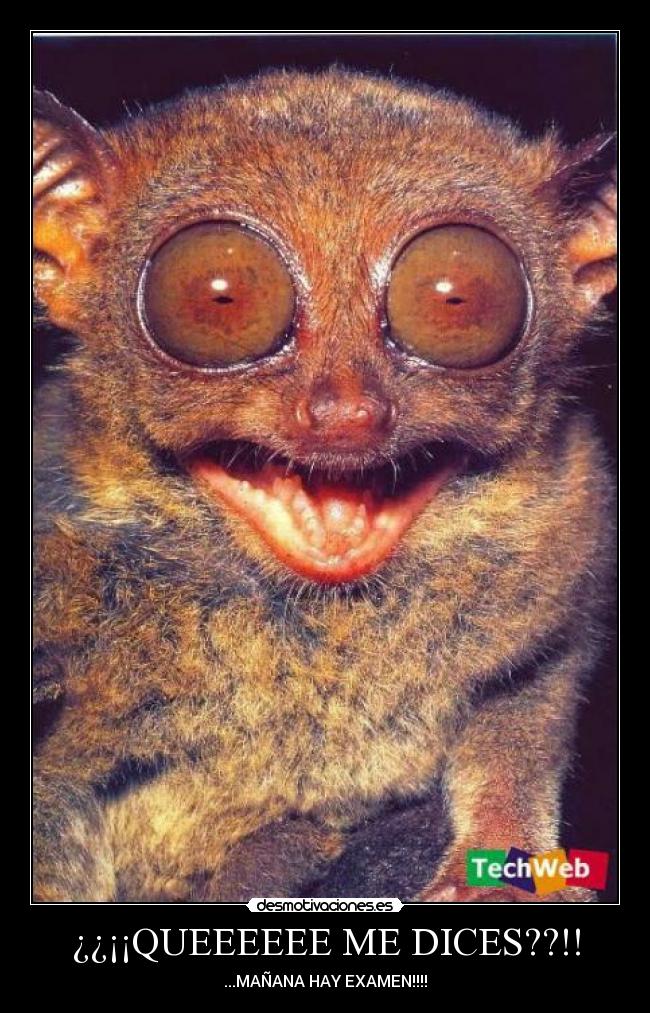 ¿¿¡¡QUEEEEEE ME DICES??!! - 