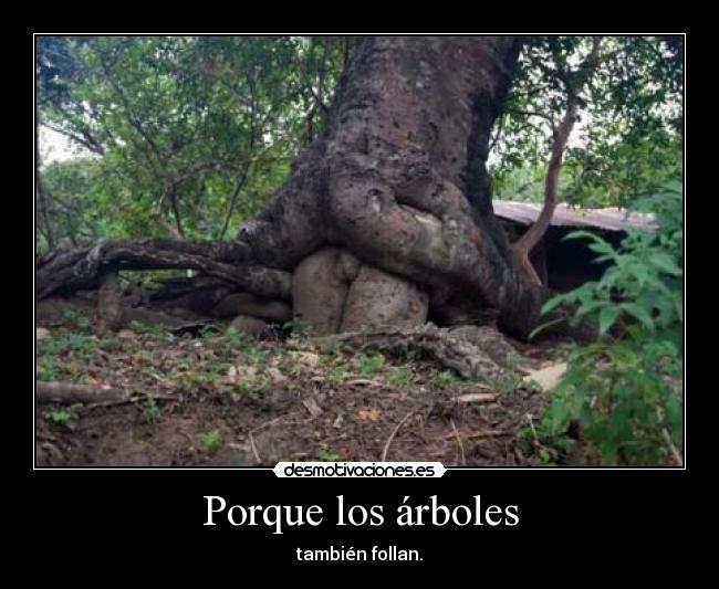 Porque los árboles -