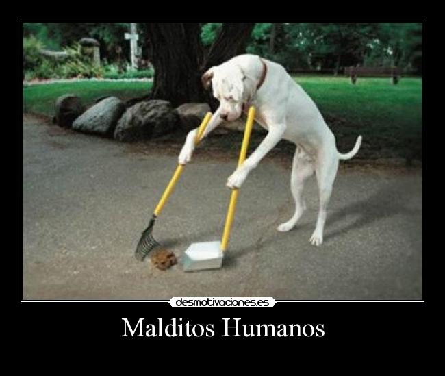 Malditos Humanos -