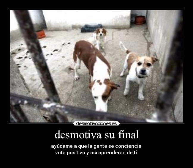 desmotiva su final - 