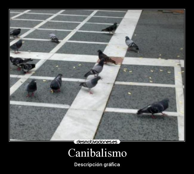 Canibalismo - 