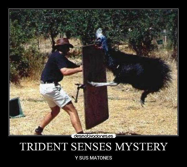 TRIDENT SENSES MYSTERY - 