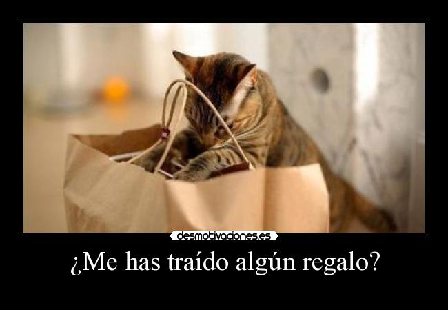 ¿Me has traído algún regalo? -