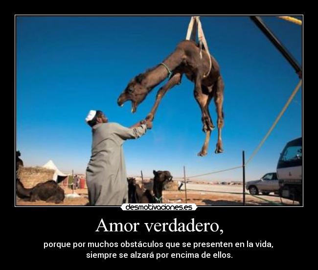 carteles amor amor desmotivaciones
