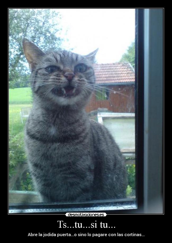 Ts...tu...si tu... -