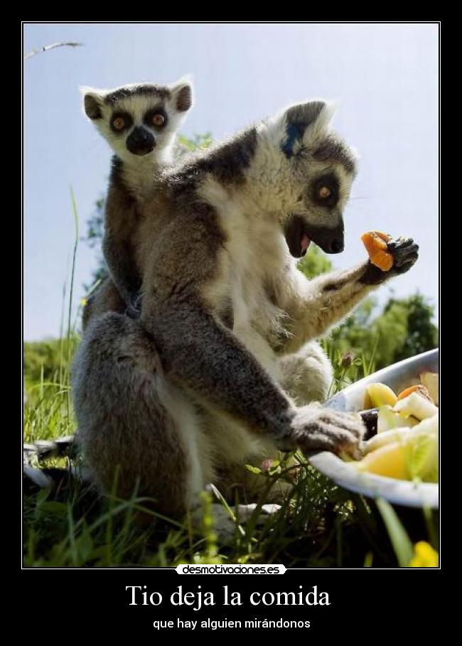 Tio deja la comida -