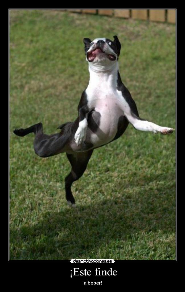 carteles missindependent desmotivaciones