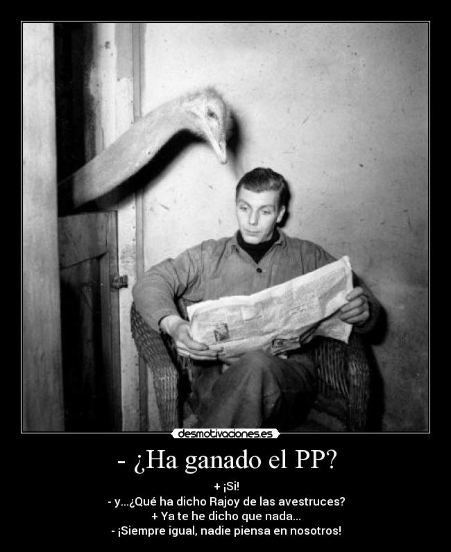 - ¿Ha ganado el PP? -