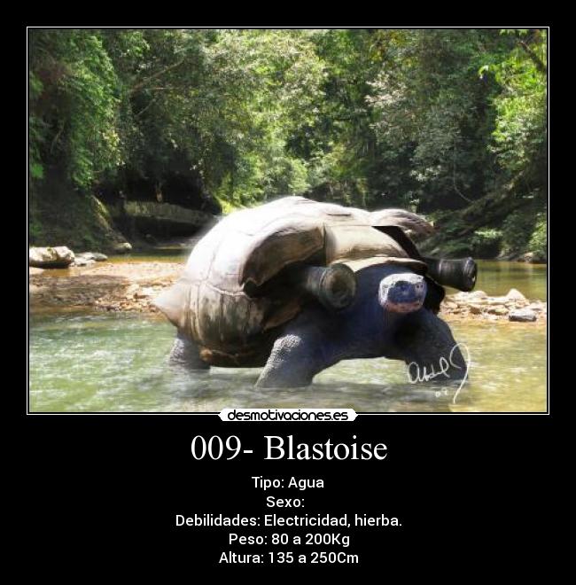 009- Blastoise - Tipo: Agua
Sexo: ♂♀
Debilidades: Electricidad, hierba.
Peso: 80 a 200Kg
Altura: 135 a 250Cm