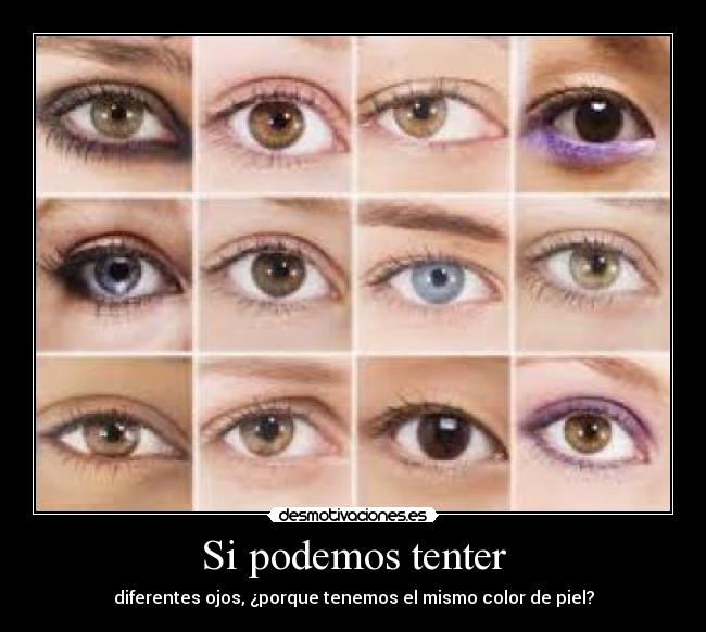 Si podemos tenter - diferentes ojos, ¿porque tenemos el mismo color de piel?