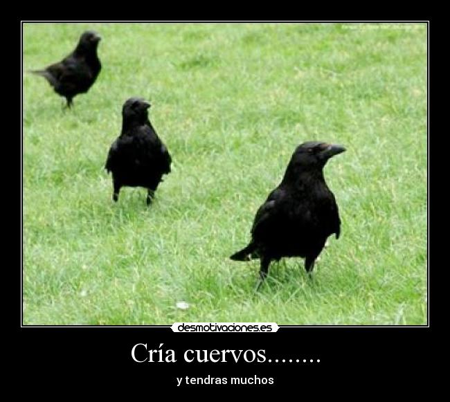 Cría cuervos........ - 