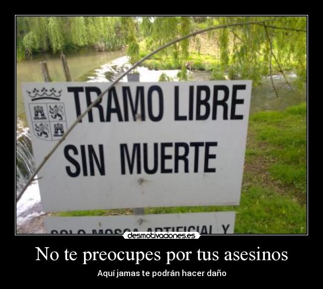 carteles tramo sin muerte asesinos desmotivaciones