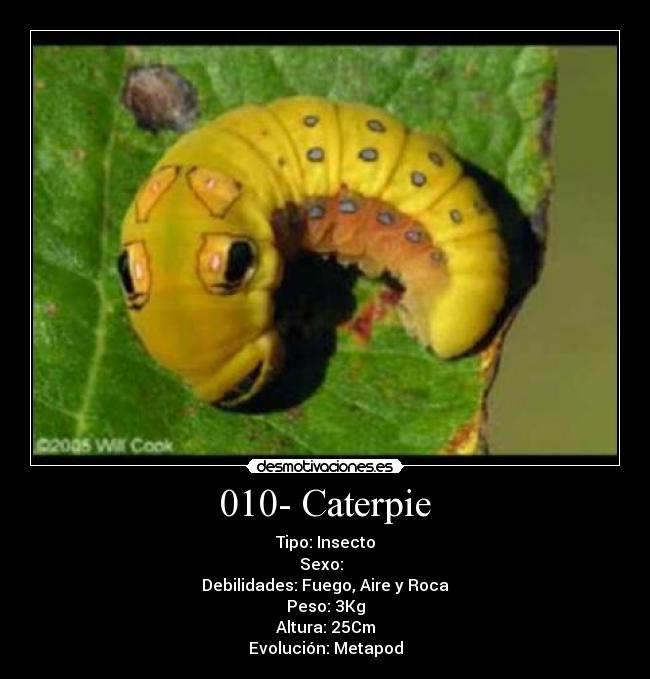 carteles caterpie desmotivaciones