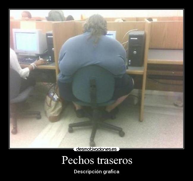 Pechos traseros - 