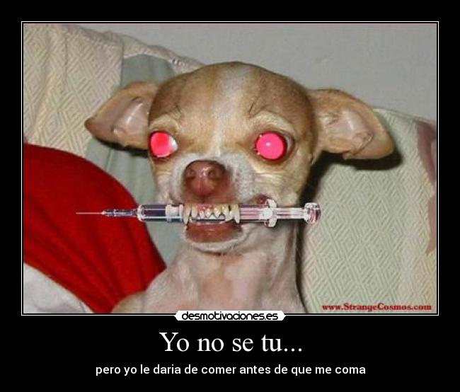 Yo no se tu... - 