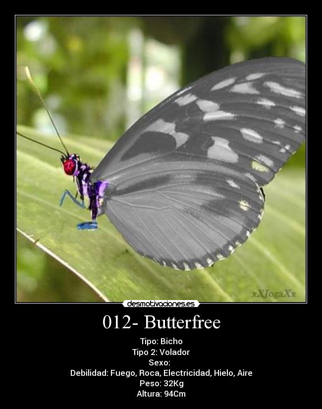 012- Butterfree - 
