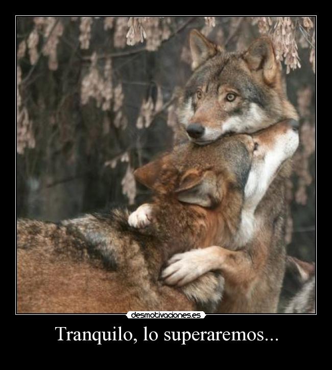 Tranquilo, lo superaremos... - 