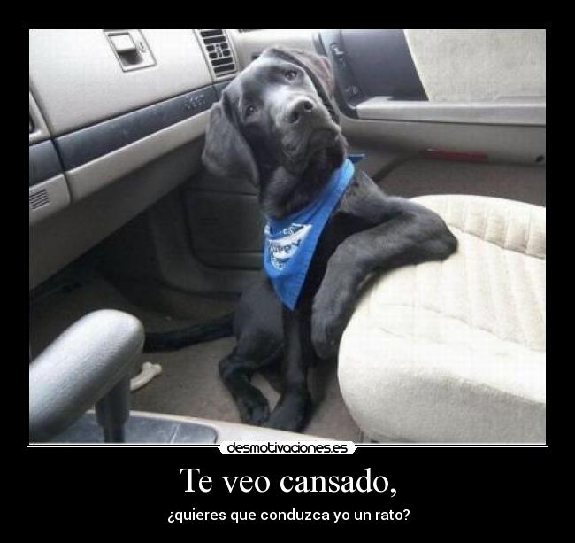 Te veo cansado, - 