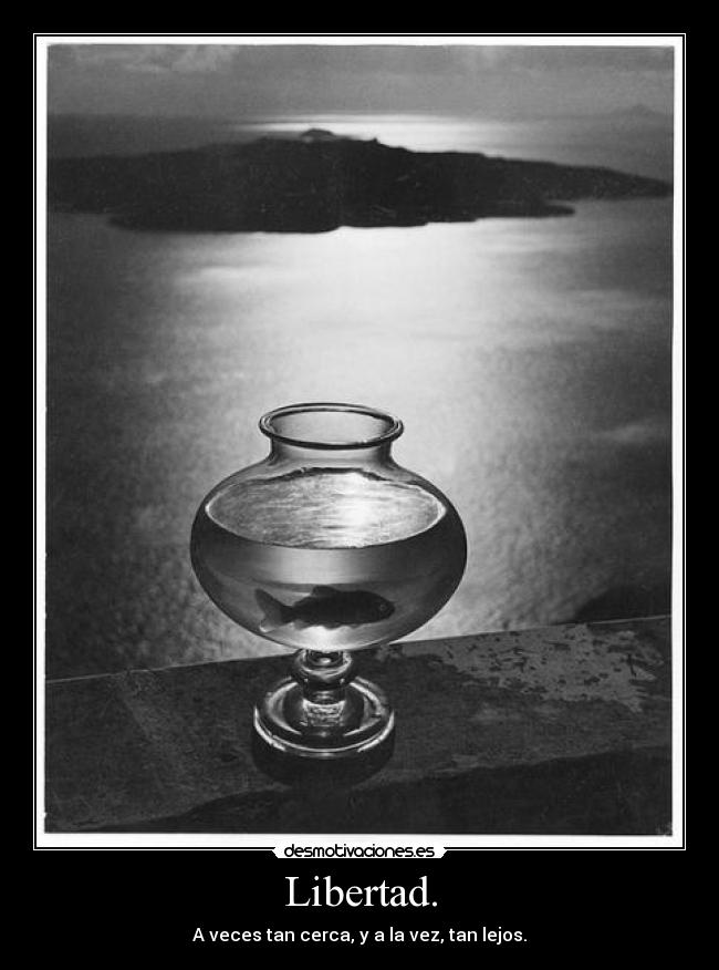 carteles libertad eafd desmotivaciones