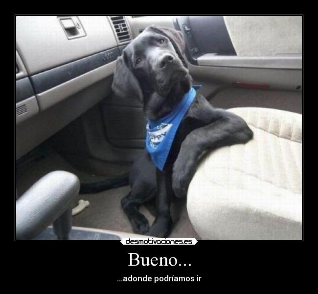 Bueno... - ...adonde podríamos ir