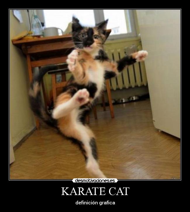 KARATE CAT - definición grafica