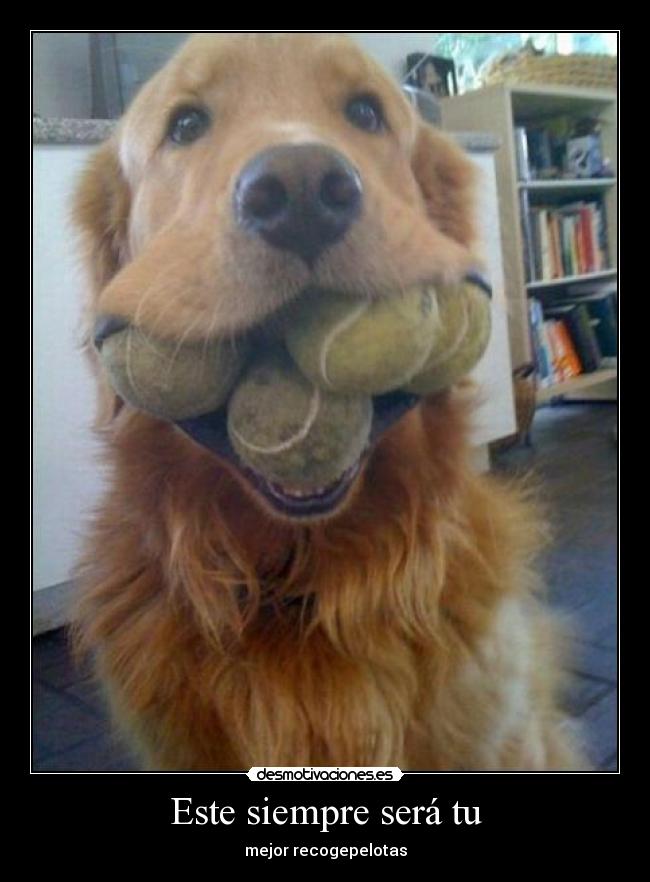 Este siempre será tu - 