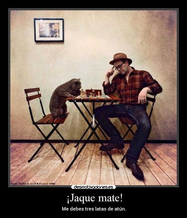 ¡Jaque mate! - 