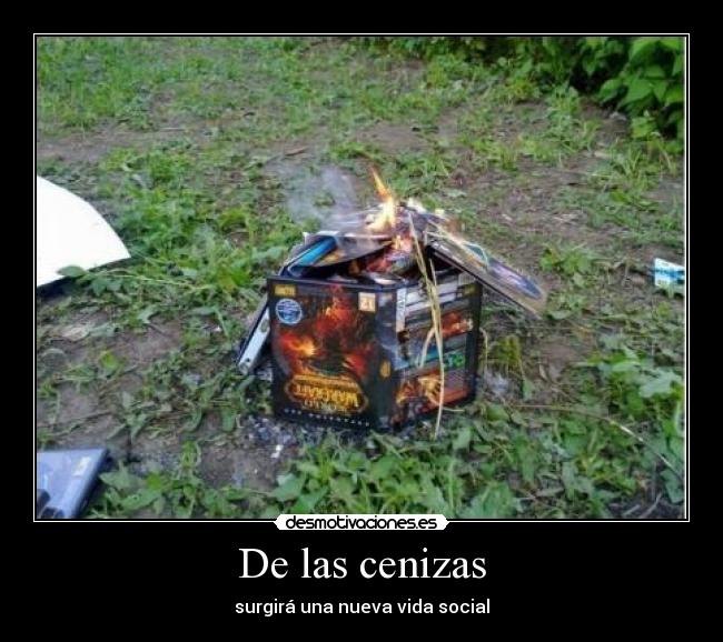 De las cenizas - surgirá una nueva vida social