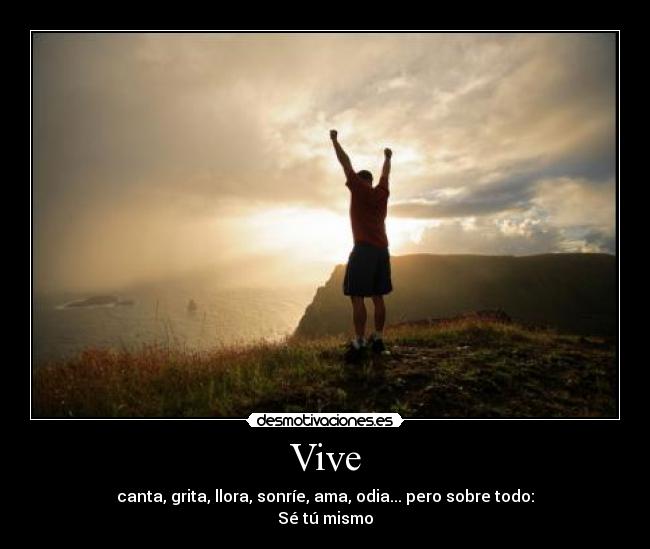Vive -