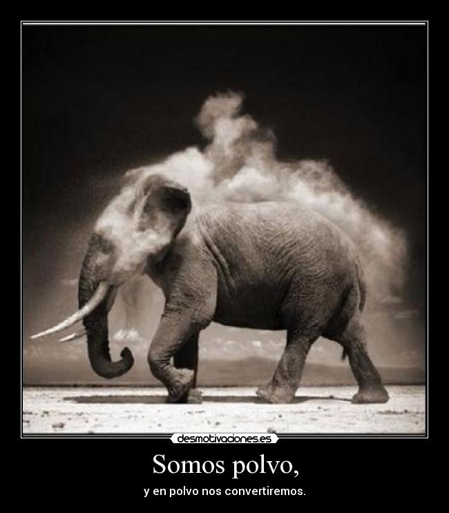 Somos polvo, - y en polvo nos convertiremos.