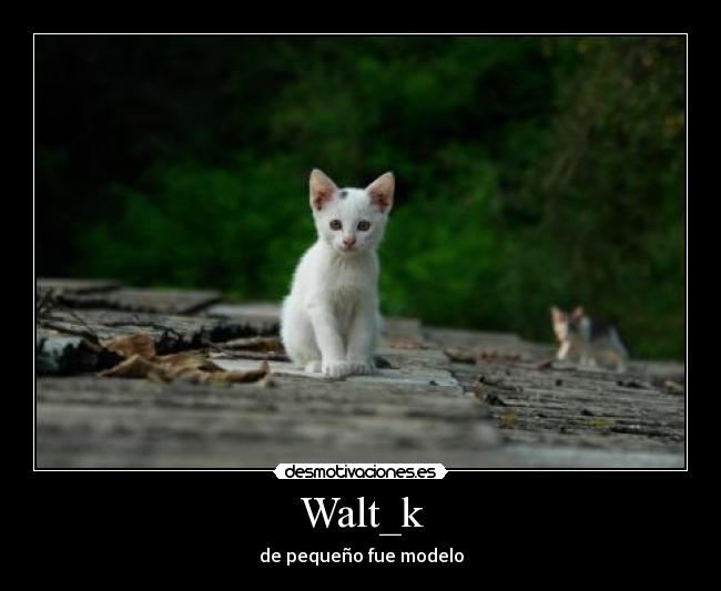 Walt_k -