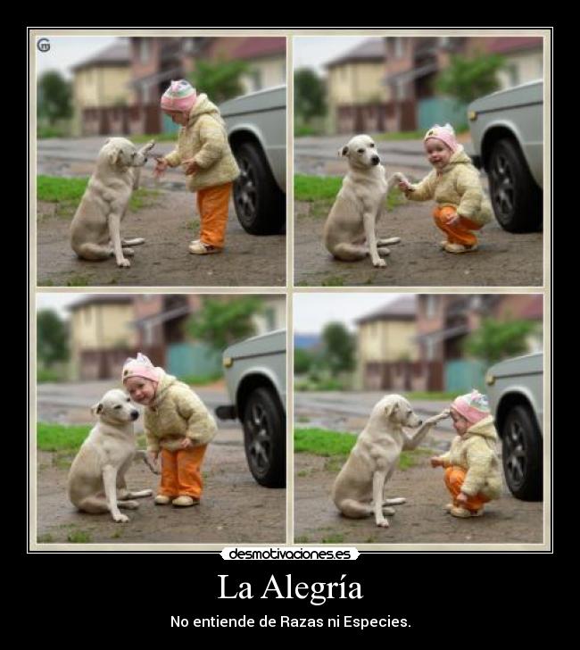 La Alegría - No entiende de Razas ni Especies.