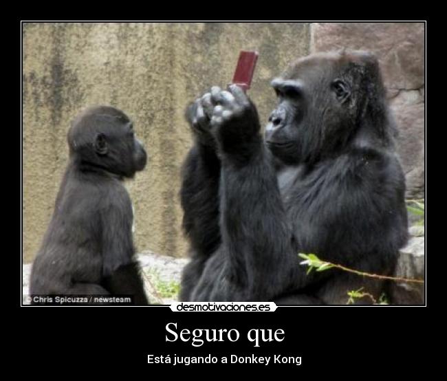 Seguro que - Está jugando a Donkey Kong