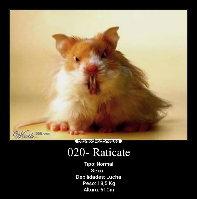 020- Raticate - 