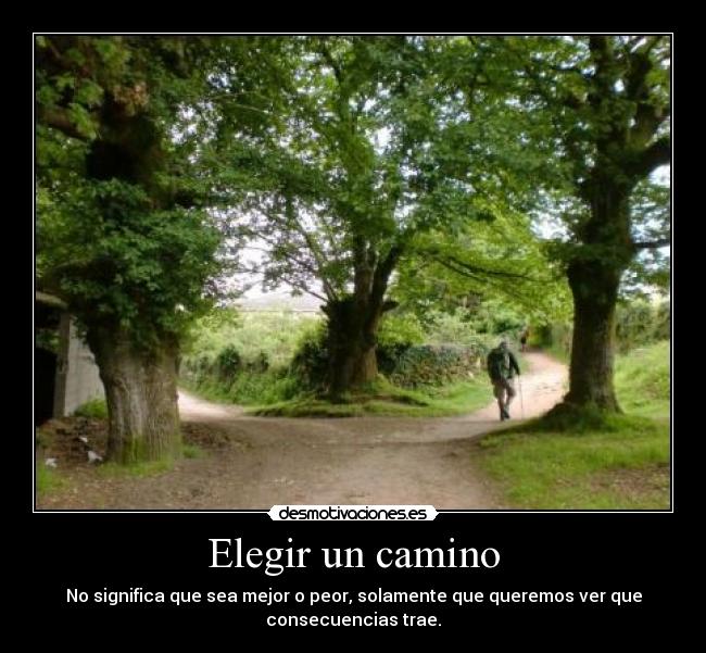 carteles camino desmotivaciones