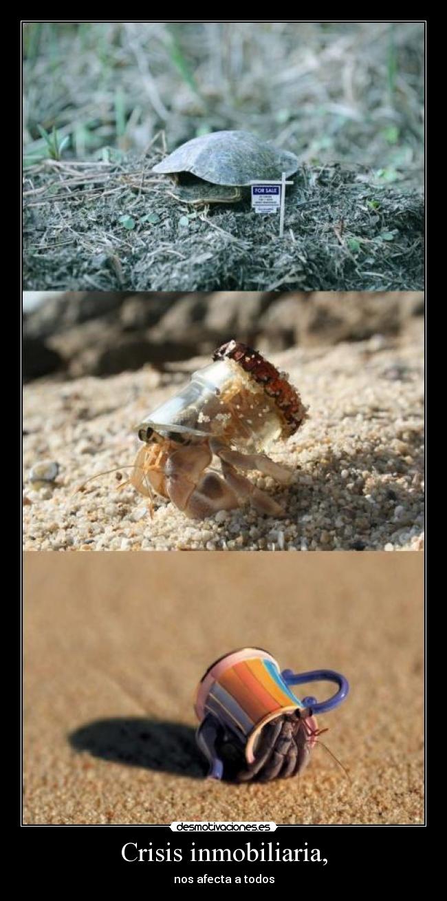 Crisis inmobiliaria, - 